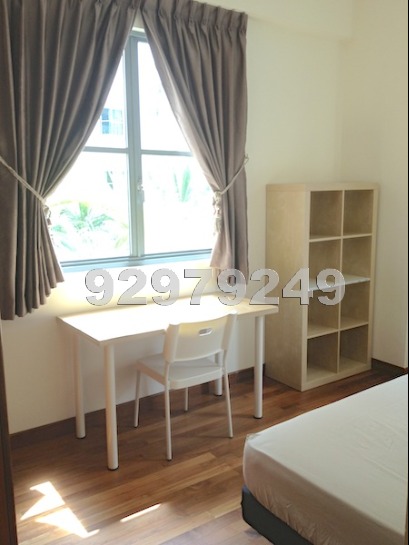 Springdale Condominium (D21), Condominium #435472